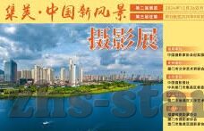 世界杯巴西对战瑞典-世界杯巴西对战瑞典，激情与策略的碰撞